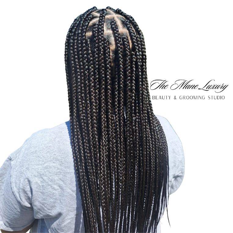 The Mane Luxury Beauty and Grooming Studio