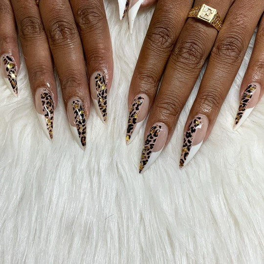 Fefe The Creator